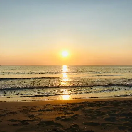 T2 Vue Golfe De St Florent A Pied