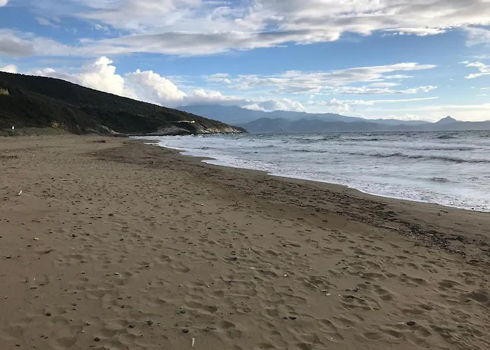 T2 Vue Golfe De St Florent A Pied Lägenhet