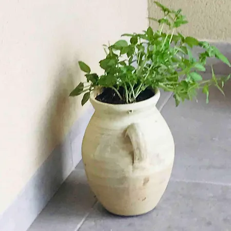 T2 Vue Golfe De St Florent A Pied *