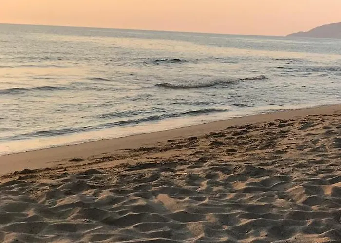 Appartement T2 Vue Golfe De St Florent A Pied Farinole