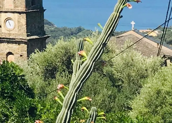 T2 Vue Golfe De St Florent A Pied