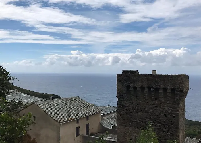 Appartement T2 Vue Golfe De St Florent A Pied