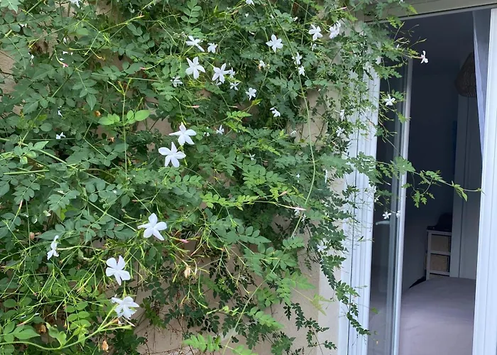 T2 Vue Golfe De St Florent A Pied Farinole